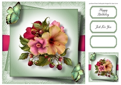 Gorgeous Hibiscus & Butterflies 8x8