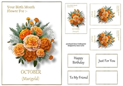 Birth Month Flower - October Marigold
