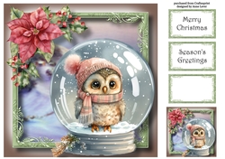 Gorgeous Owl Snowglobe 3 8x8