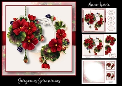 Gorgeous Geraniums
