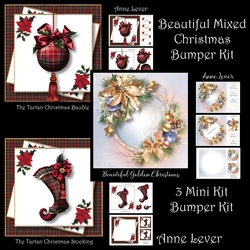 Beautiful Mixed Christmas Bumper Kit