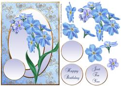 Fabulous Forget-me-not