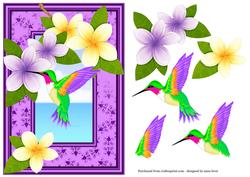 Tropical Hummingbird