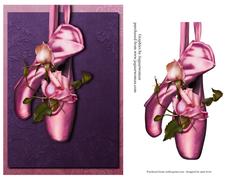 En Pointe Ballet Shoes - Pink