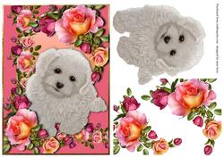 Poodle Puppy & Romantica Roses