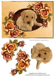Golden Retriever Puppy & Fantasy Roses