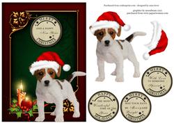 Jack Russell Puppy Christmas
