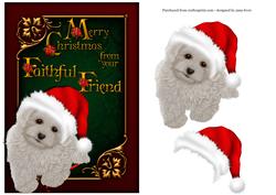 Merry Christmas from the Dog - Poodle Pup