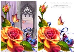 Rose and Butterfly Archway