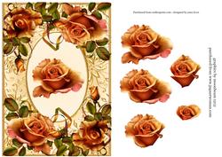 A Medley of Peach Roses - Step-by-step