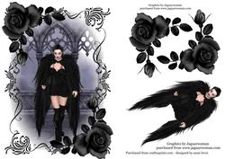 Gothic Winged Beauty & Black Roses