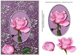 Beautiful Soft Pink Rose in a Silver Frame