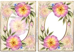 Pale Pink Wild Roses + Extra Decoupage Frame