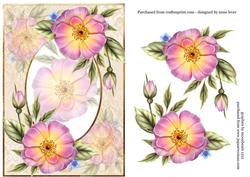 Pale Pink Wild Roses + Decoupage