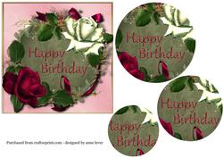 Happy Birthday + Magenta & White Roses