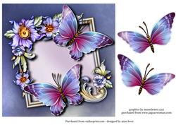 Beautiful Butterflies & Fancy Flowers Frame