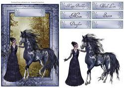Beautiful & Elegant Wild Horse