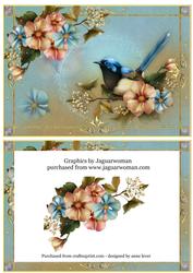 Magic Garden with Fairy Wren