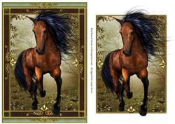 The Wild Stallion