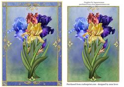 Beautiful Bunch of Irises