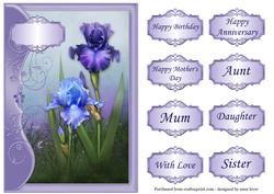 Beautiful Irises & Flourish Frame
