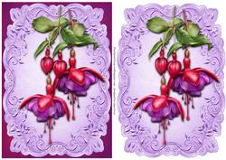 Gorgeous Fuschias Topper & Plaque