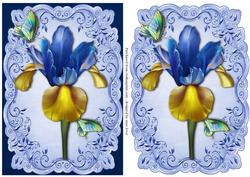 Beautiful Dutch Iris Topper & Plaque