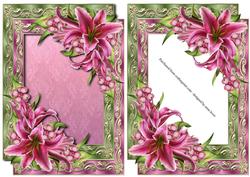 Double Satin Frame & Stargazer Lilies