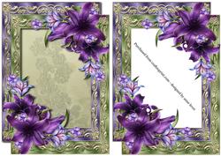 Double Satin Frame & Dark Shadows Lilies