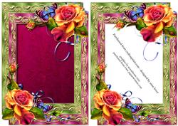 Double Satin Frame & Bright Roses