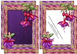Double Satin Frame & Fabulous Fuschias