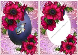 Anemones & Shimmering Frame + Extra Frame