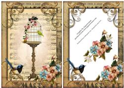 Shabby Chic Birdcage + Sheet Music