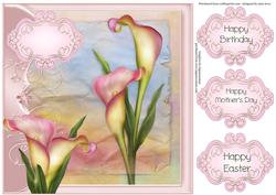 Calla Lilies - Easter, Mother's Day, Birthday