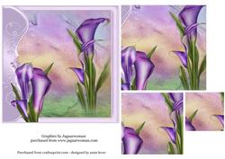 Gorgeous Purple Calla Lilies - Square Pyramid