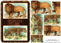Big Cats Pyramid - Lion, Leopard