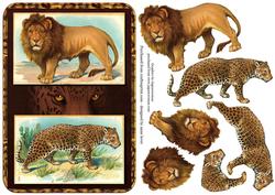 Big Cats Step by Step - Lion, Leopard