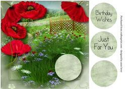 Beautiful Poppies & a Summer Meadow