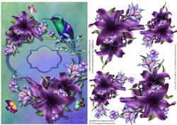 Beautiful Humming Bird & Deep Purple Lilies
