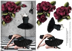 The Black Swan - Ballet & Roses