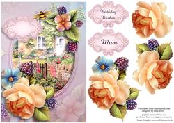 Pretty Peach Rose Cottage
