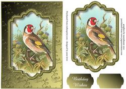 Gorgeous Goldfinch with Plaque