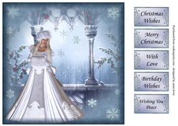 Winter Snowflake Beauty