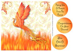 Like a Phoenix from the Flames - Survivor, Divorce