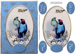 Beautiful Vintage Birds & Butterfly