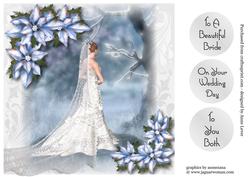 Beautiful Winter Bride & Ice Blue Poinsettias