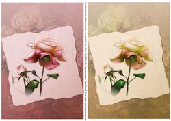 Soft Vintage Rose Toppers - Pink & Yellow