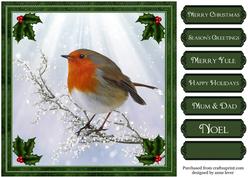 Gorgeous Robin & Holly - Quick Topper