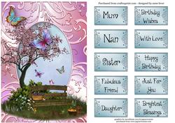 Butterfly Garden & a Shimmering Frame