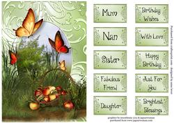 Autumn Butterflies Apple Harvest